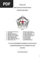 Download kelompok 3 sistem perkemihan by Hendro Purnomo SN83430737 doc pdf