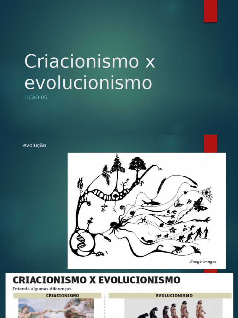 Criacionismo x Evolucionismo | PDF