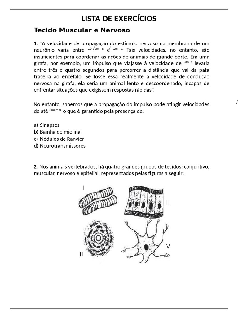 Exercícios sobre Tecidos Musculares e Nervosos | PDF | Músculo | Epitélio