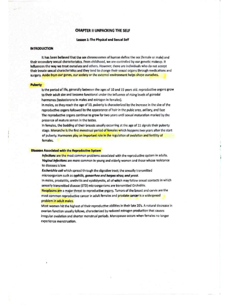 UTS Midterm | PDF