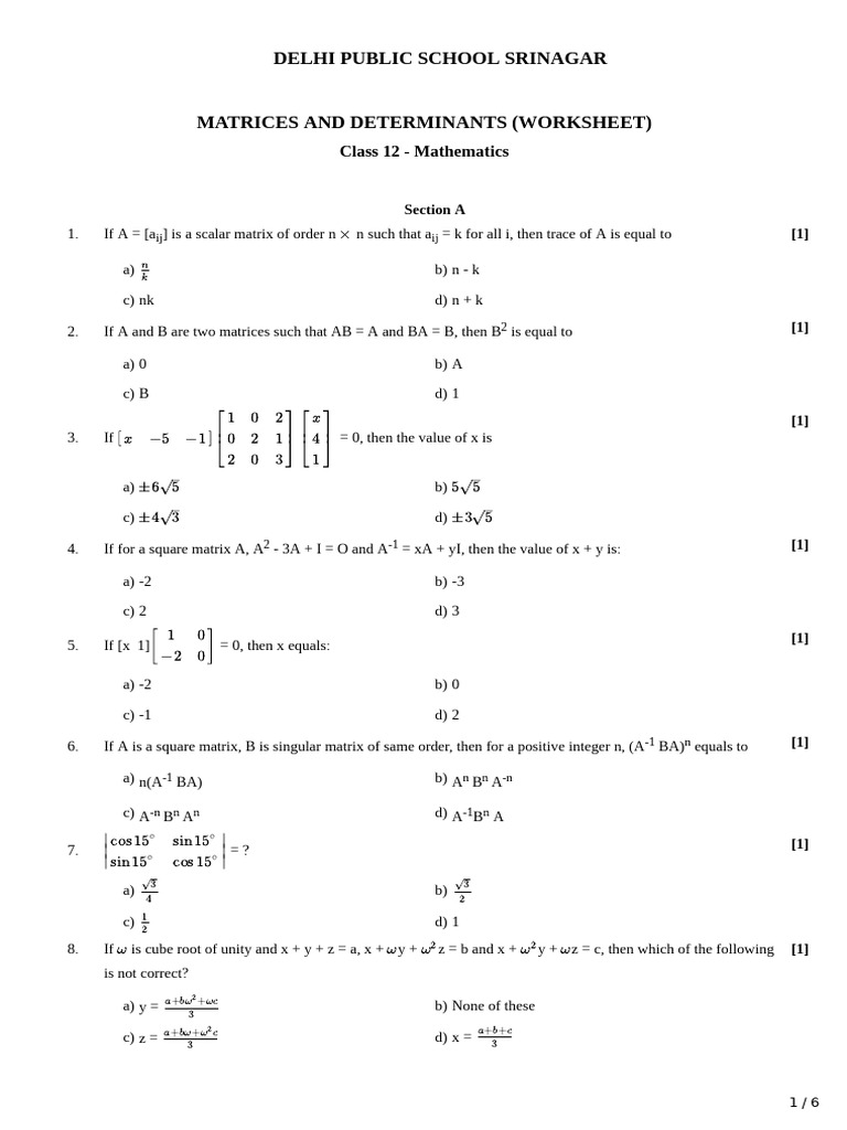 Class 12 Mathematics: Matrices Worksheet | PDF | Matrix (Mathematics ...