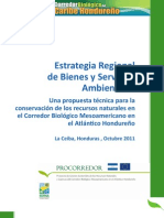 Estrategia Regional de Bienes y Servicios Ambientales