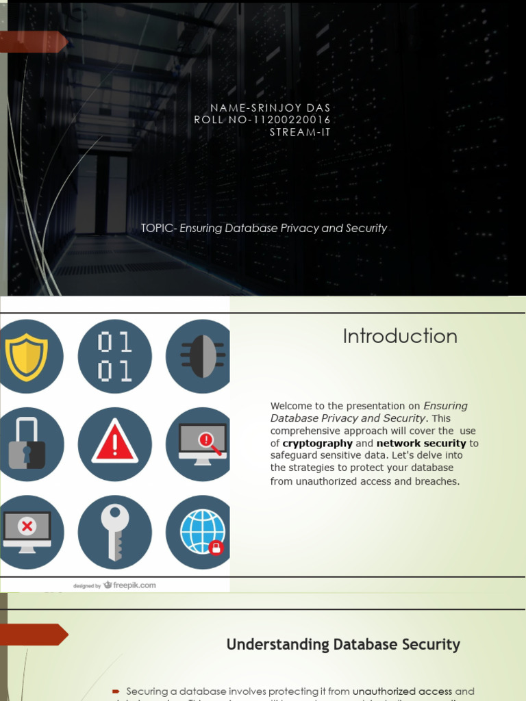 Database Privacy and Security Strategies | PDF | Security | Computer ...