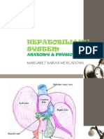 Hepatobiliary System: Anatomy & Physiology