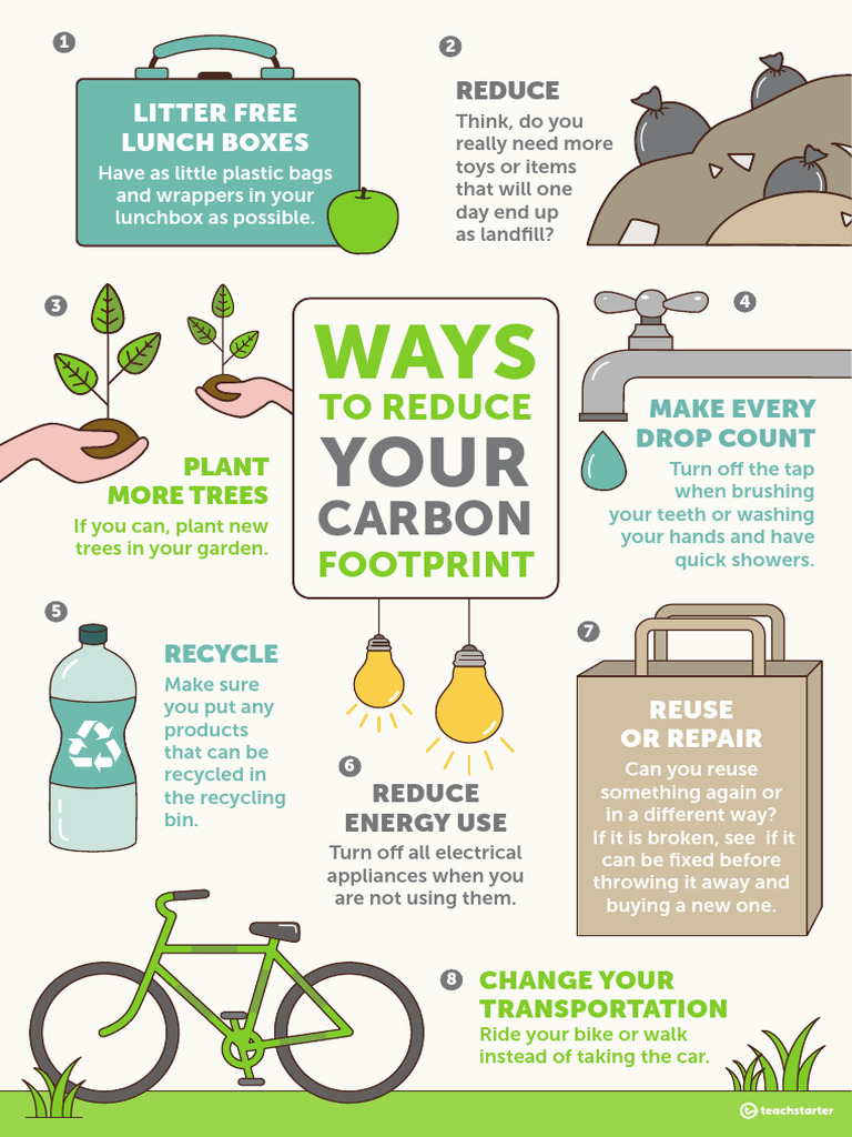 8 Ways to Reduce Your Carbon Footprint | PDF