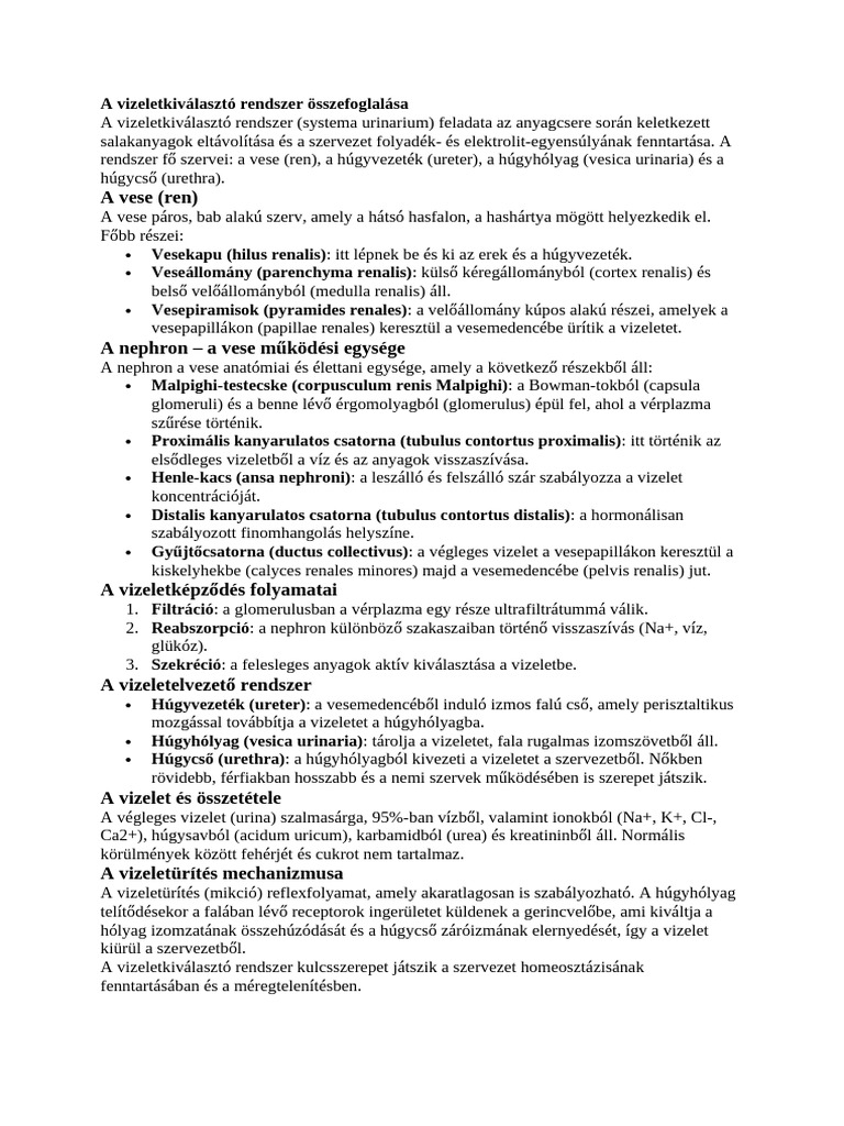 A Vizeletkiválasztó Rendszer Összefoglalása | PDF
