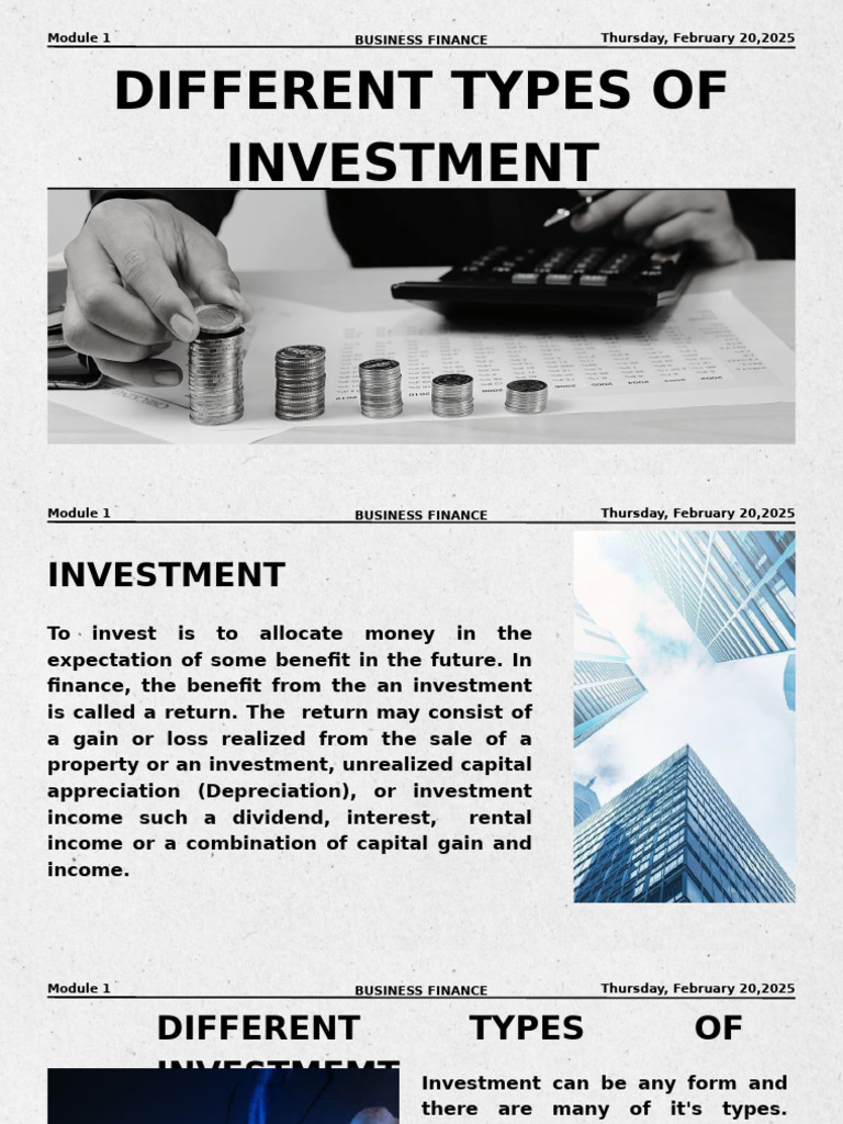 Types of Investments Explained | PDF | Investing | Stocks