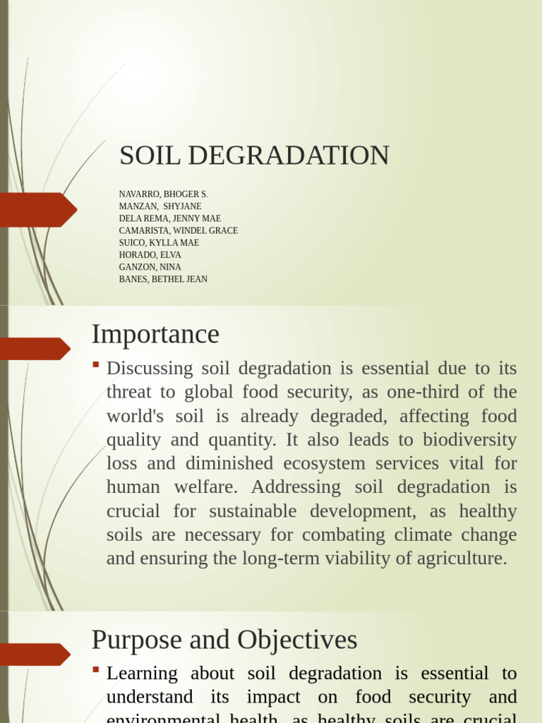 Group 3 Soil Degradation | PDF | Agriculture | Environmental Degradation