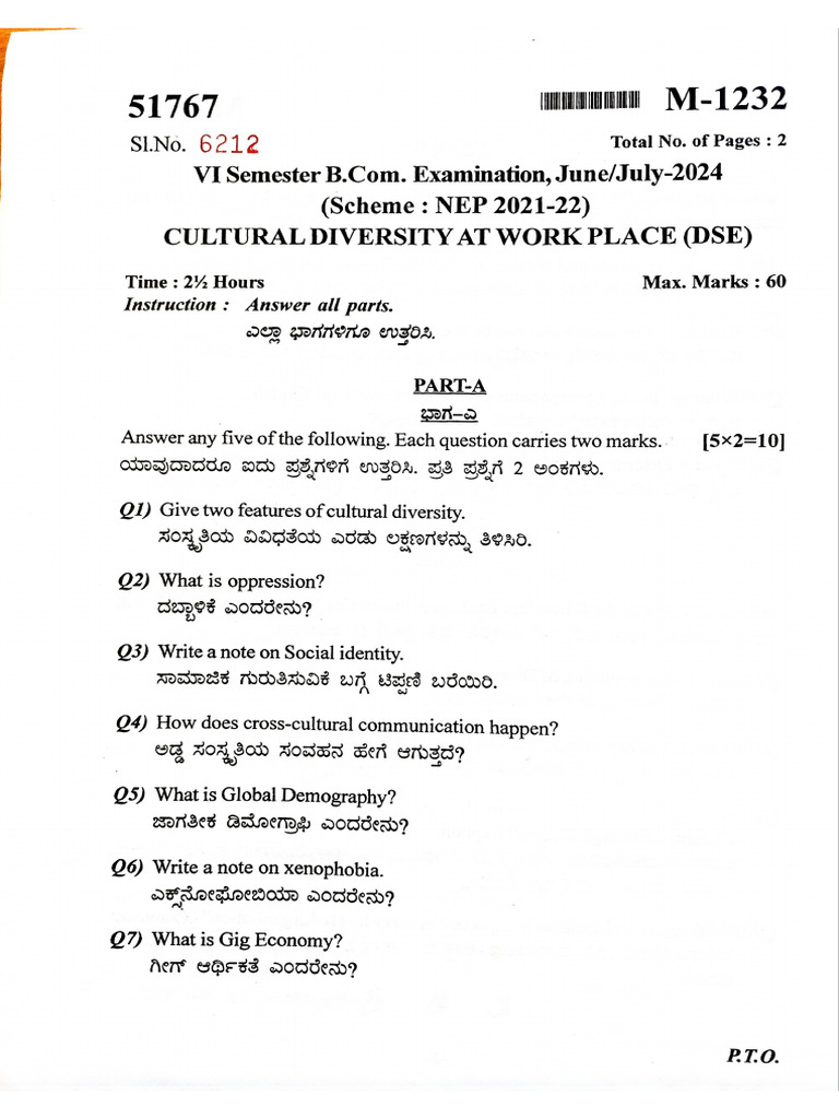 Cultural Diversity at Work Place (2024) | PDF