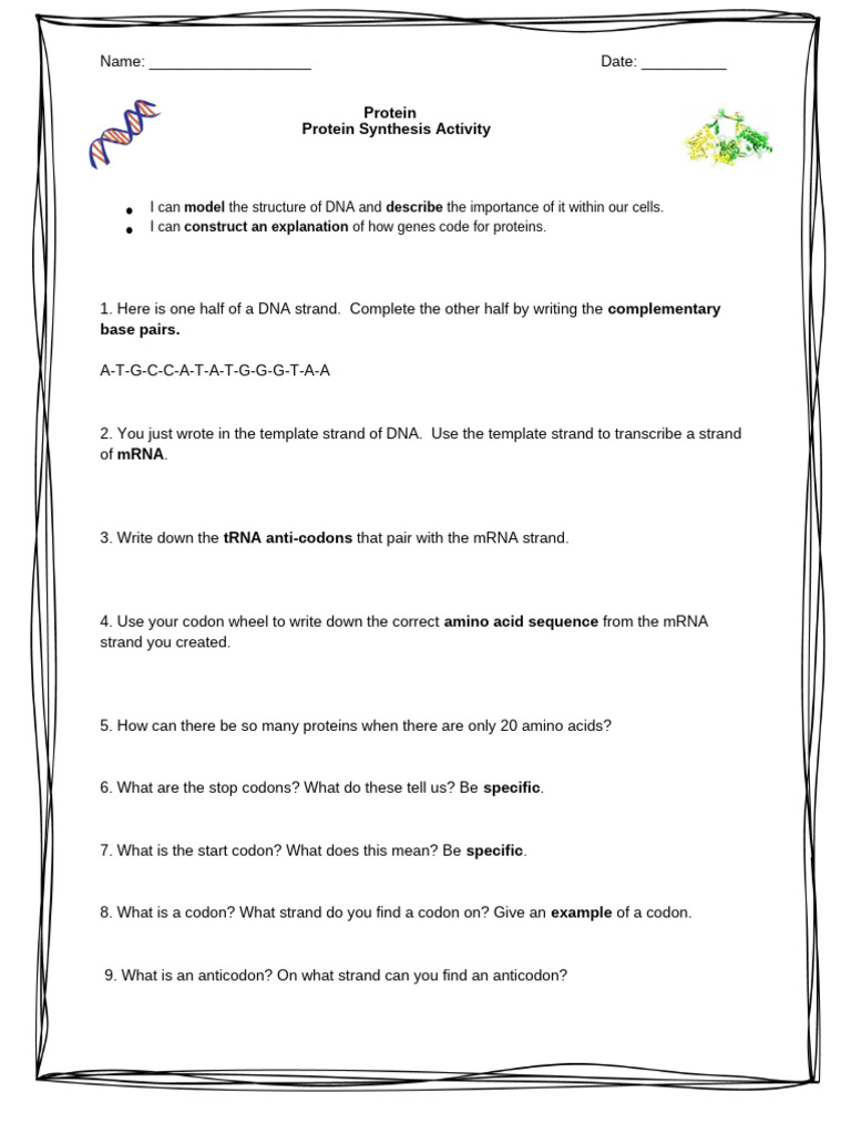 Activity 3. Protein | PDF