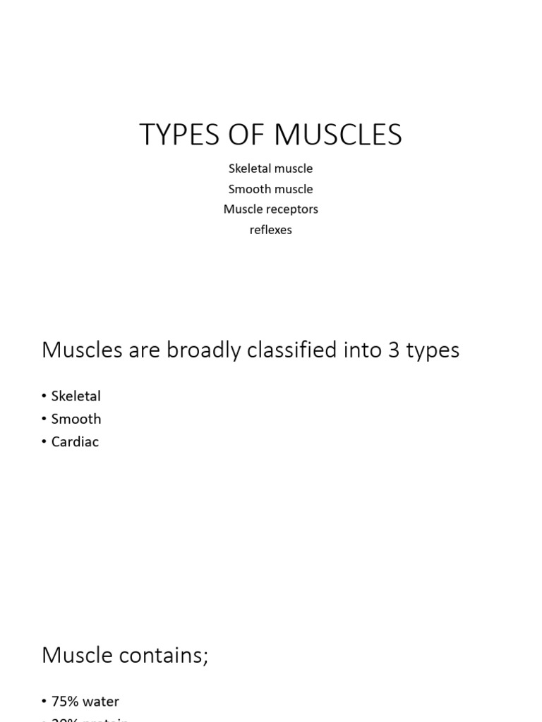 Types and Mechanisms of Muscle Contraction | PDF | Muscle Contraction ...