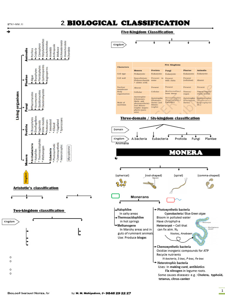 Biological Classification Overview | PDF | Fungus | Virus