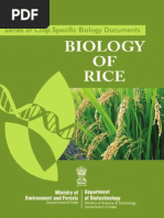 Download Rice by Ganesh Kumar SN83451103 doc pdf