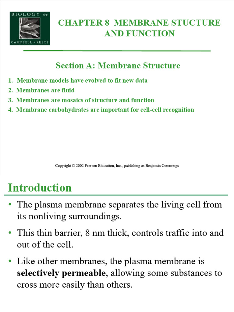 Membrane Structure and Function Overview | PDF | Cell Membrane ...