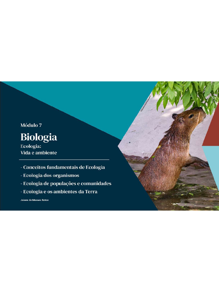 1 Eco | PDF