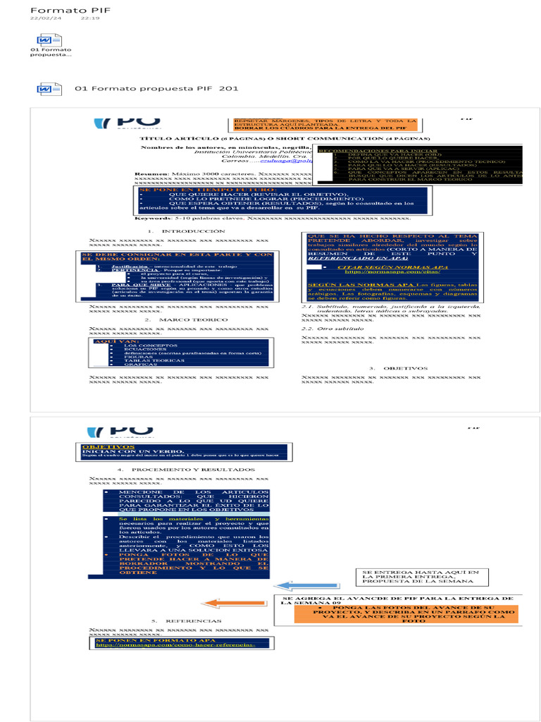 Formato PIF | PDF