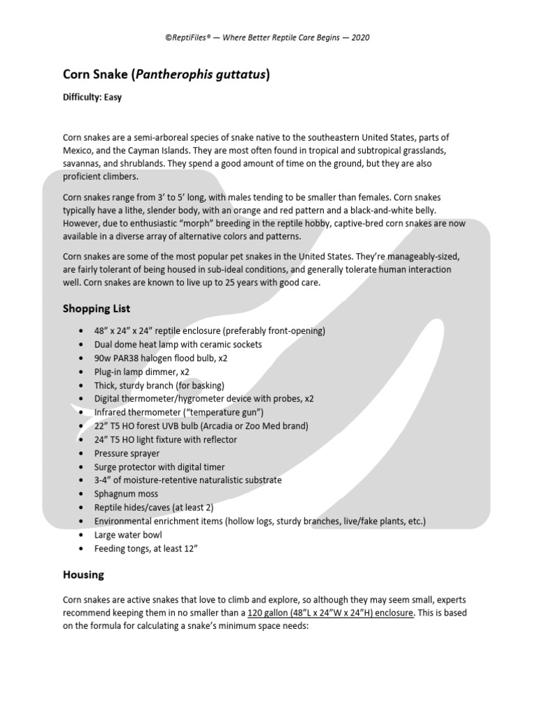 Corn Snake Care Sheet PDF | PDF | Thermoregulation | Humidity