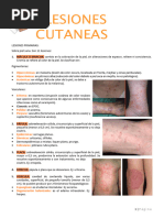 Causas y Tipos de Rash Cutáneo | PDF | Piel | Ciencias de la Salud