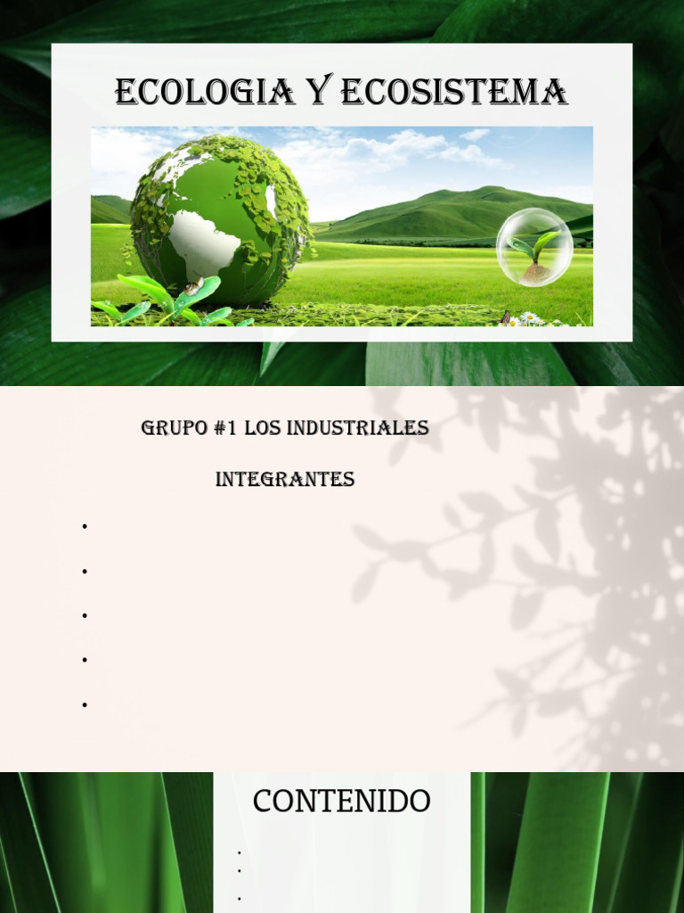 Ecología y Ecosistemas: Definición y Tipos | PDF | Ecosistema | Ecología