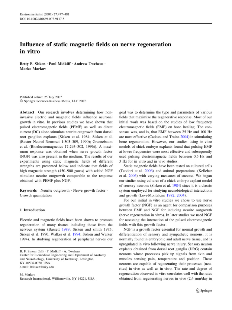 Influence of Static Magnetic Fields On N | PDF | Nerve | Neuron