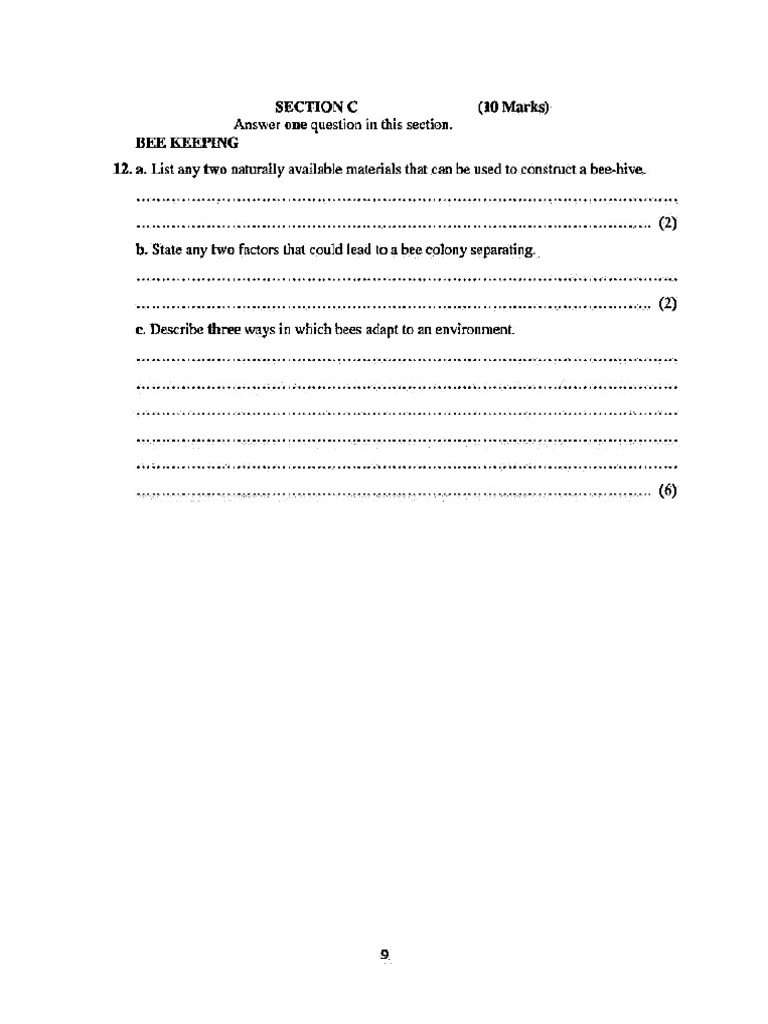 Bee Keeping Questions | PDF