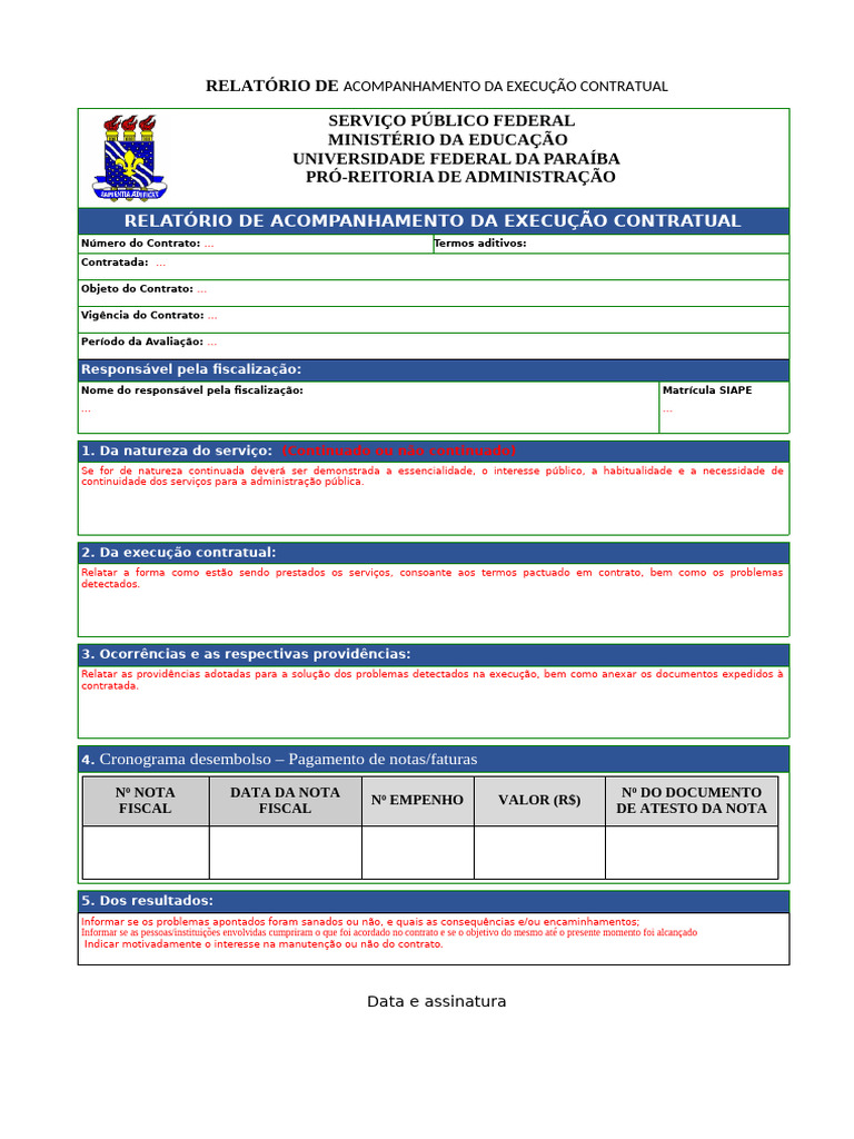 Modelo Relatorio de Execucao | PDF