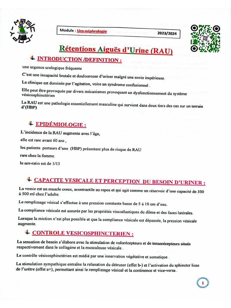 Rétention Aigu Des Urines | PDF