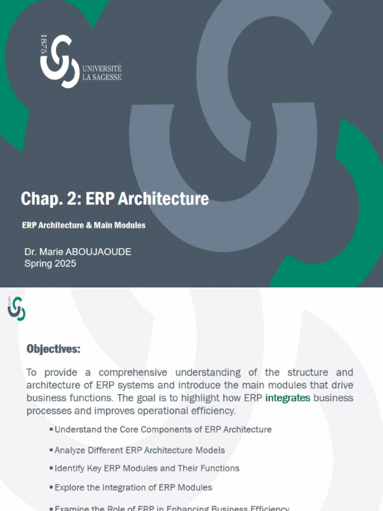 MGE650 - (ERP Architecture) Chapter 2 C2 | PDF