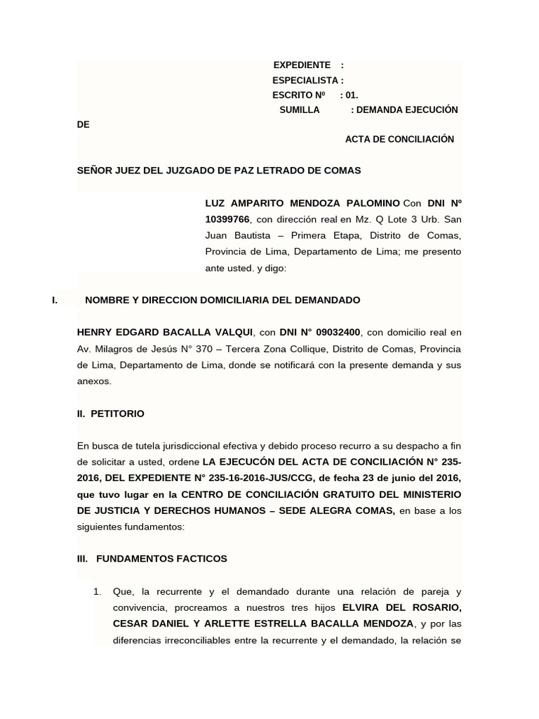 Demanda de Ejecucion Luz Amparo | PDF | Justicia | Crimen y violencia