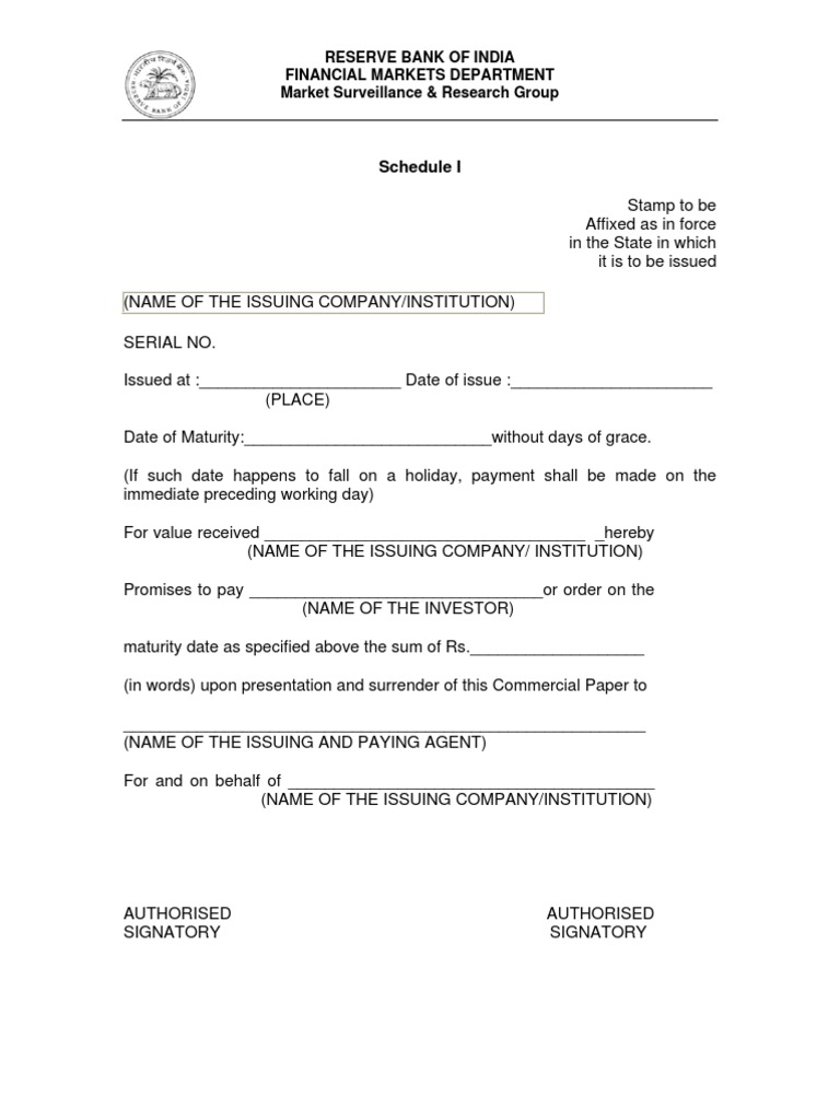 Commercial Paper Issuance Guidelines | PDF
