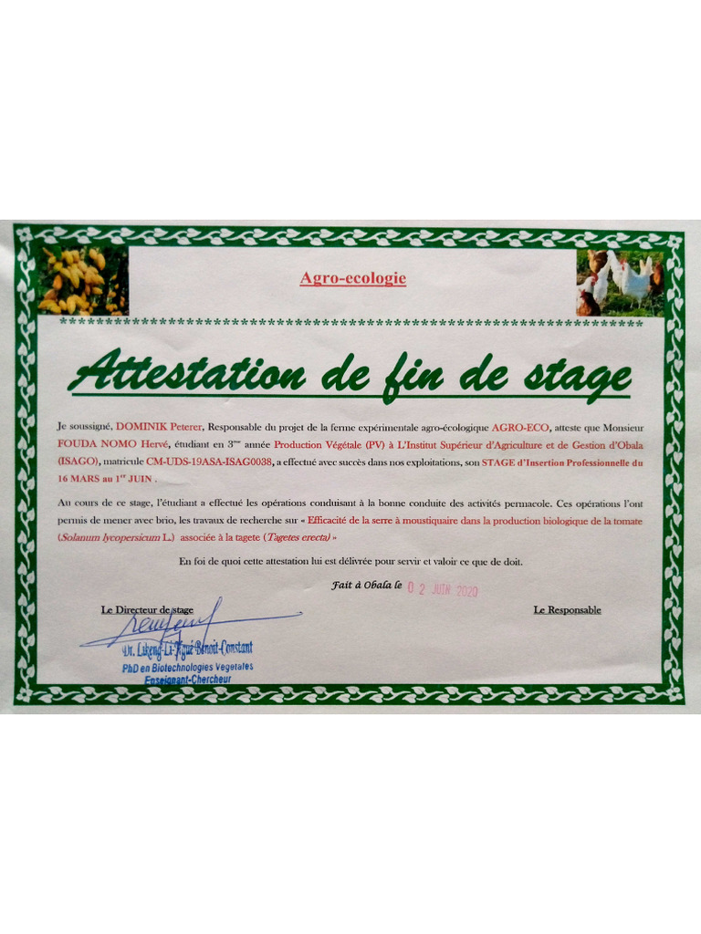 Fouda Herve Cert1 | PDF
