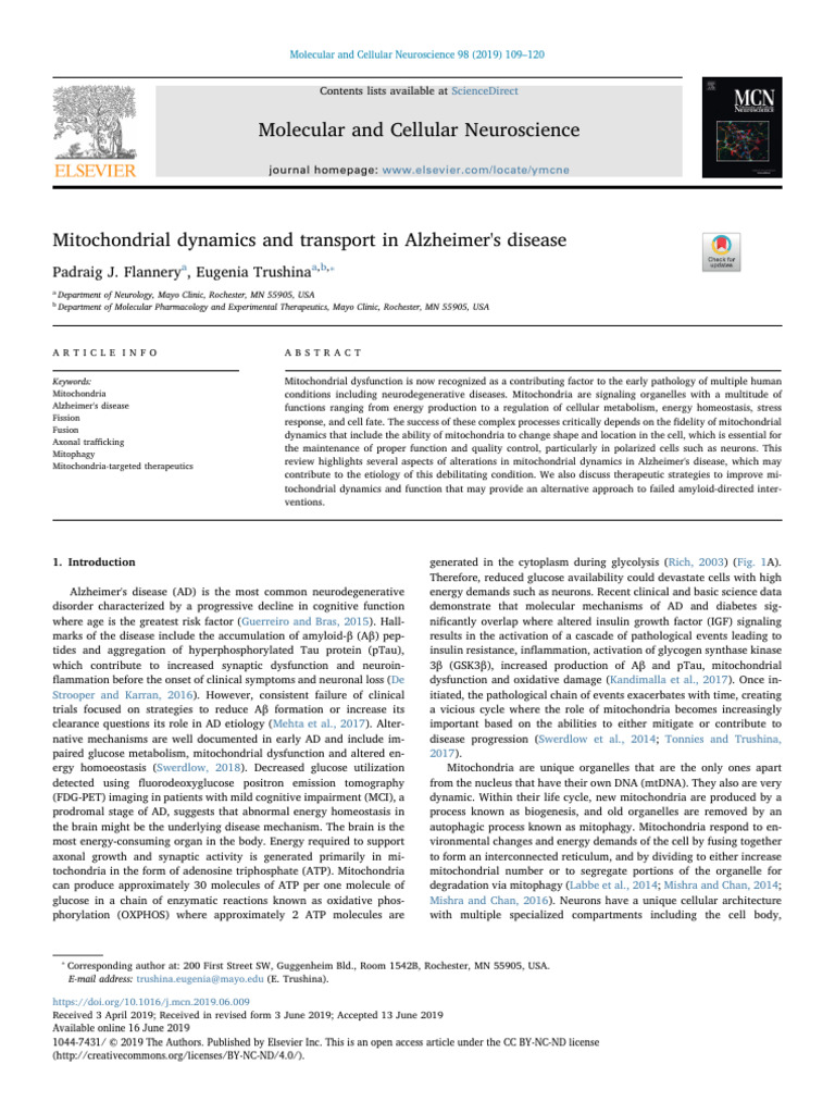 Mitochondrial Dynamics and Transport in Alzheimer (3) | PDF ...