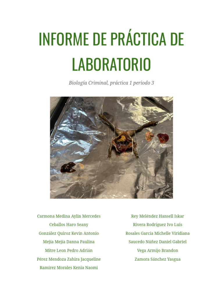 Disección de Rana: Anatomía y Funciones | PDF | Sistema digestivo ...