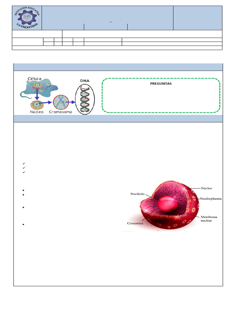 4 Ccac 1 | PDF | Organismos | Adn