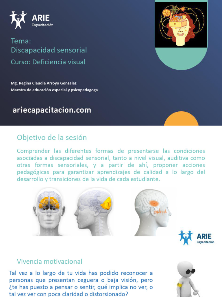 Tema Discapacidad Sensorial - Deficiencia Visual | PDF | Ojo humano ...