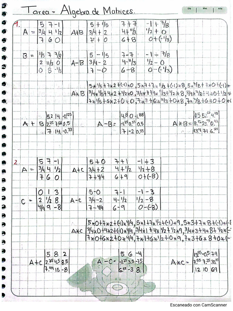 Álgebra de Matrices | PDF