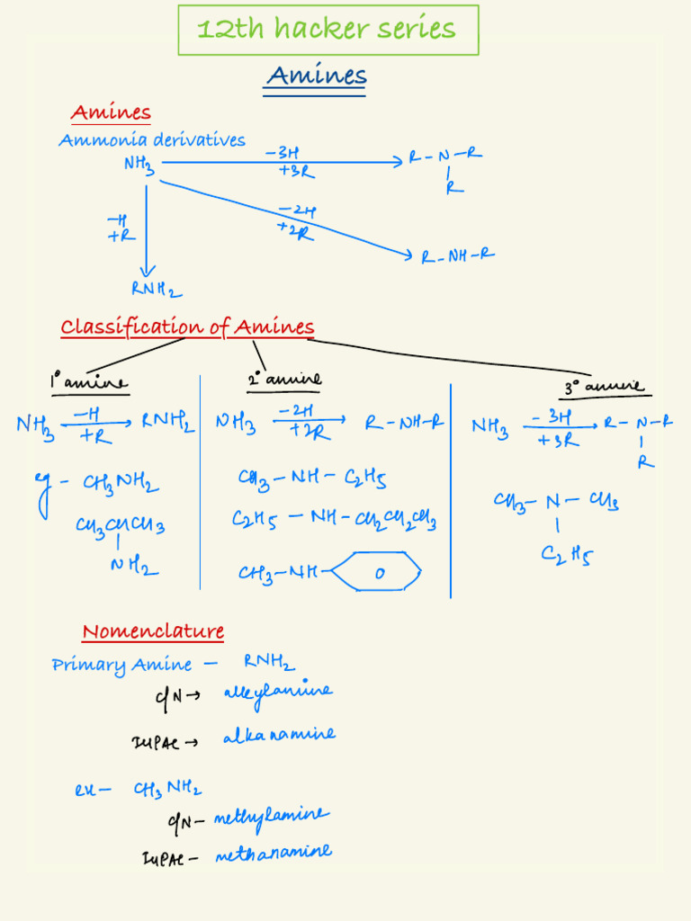 Class 12 Handwritten Notes on Amines | PDF | Amine | Chemical Reactions