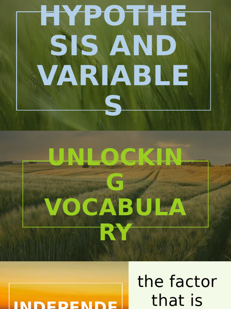 Hypothesis and Variables | PDF | Experiment | Rice