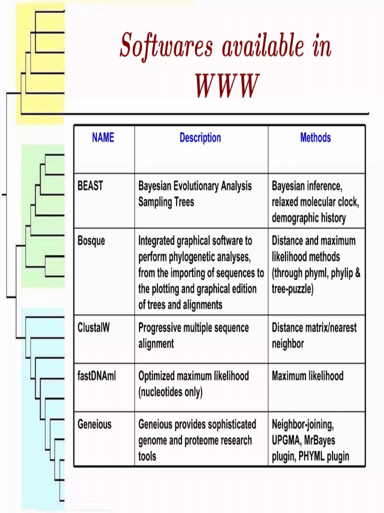 Software Used | PDF