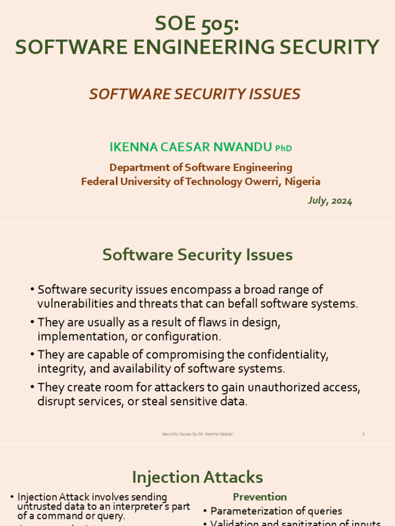 Software Security Issues Overview | PDF | Computer Security | Security