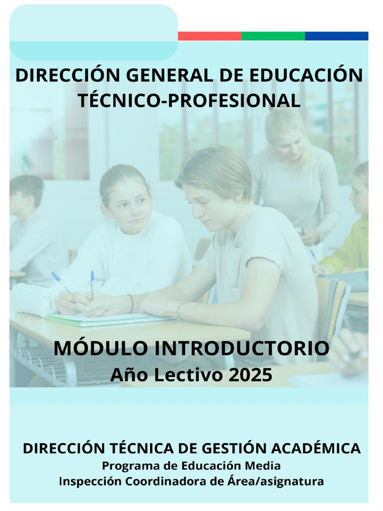Módulo Introductorio 2025 para Docentes | PDF | Evaluación | Enseñando