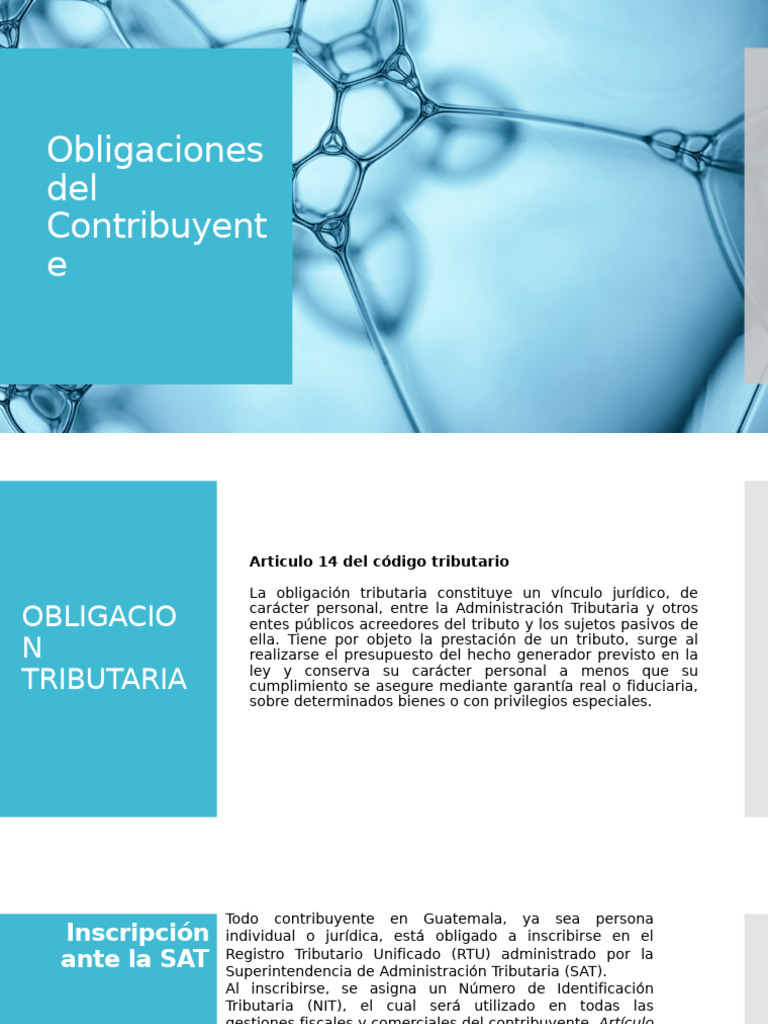 Obligaciones Tributarias en Guatemala | PDF | Factura | Contabilidad