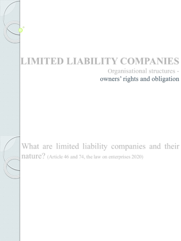 Understanding Limited Liability Companies | PDF | Limited Liability ...