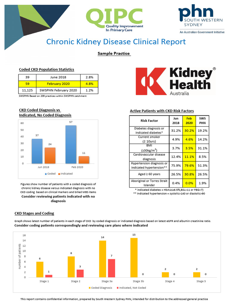 CKD Management Report: February 2020 | PDF | Chronic Kidney Disease ...