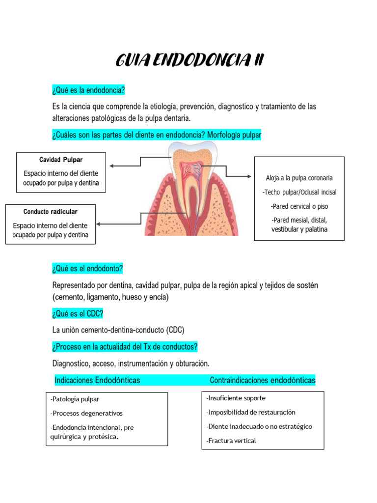 Guía Completa de Endodoncia PDF Especialidades Medicas Ramas de