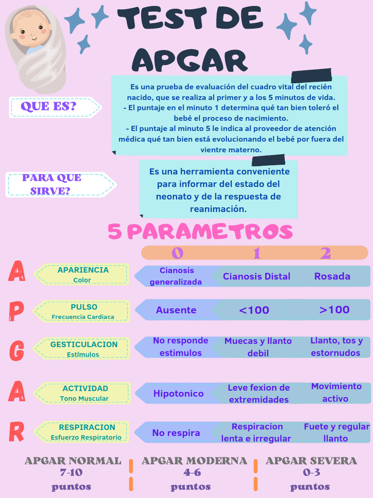Test de Apgar y Evaluación Neonatal | PDF | Infantes | Especialidades ...