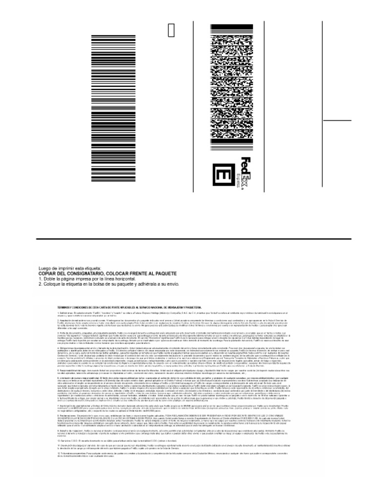 FedEx Shipment Details for Mexico | PDF