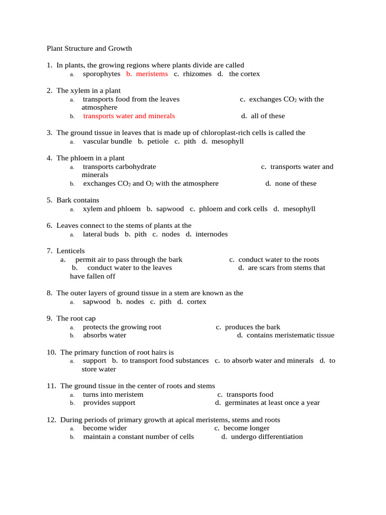 OTS Plant Structure and Functions | PDF | Plant Stem | Root