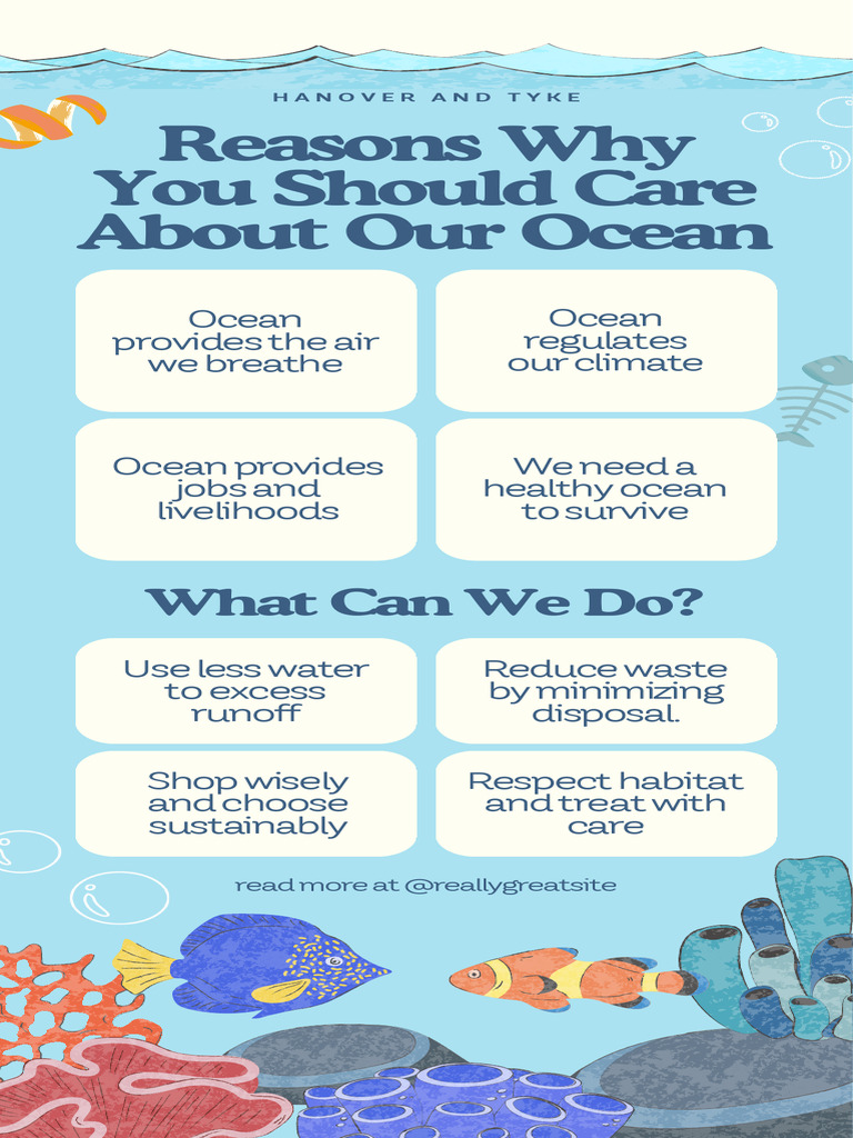 Protect Our Ocean: Sustainable Practices | PDF