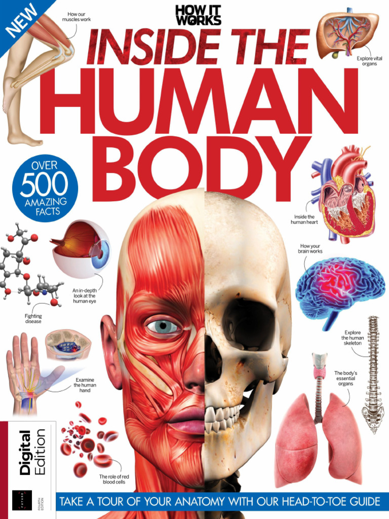 How It Works - Inside The Human Body-1-20 | PDF